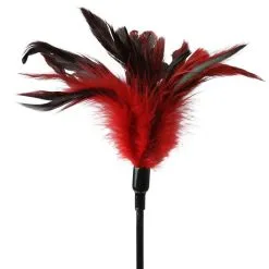 Sex & Mischief Cravache Et Plumeau Feather Slapper -SexToys Soldes sex mischief feather slapper 3