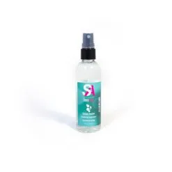 SexyAvenue Spray Nettoyant Pour Sextoys SexyCare 100 Ml