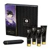 Shunga Kit Geisha Coquine -SexToys Soldes shunga kit geisha coquine