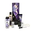 Shunga Kit Plaisirs Charnels 2 Shunga Kit Plaisirs Charnels -SexToys Soldes shunga kit plaisirs charnels